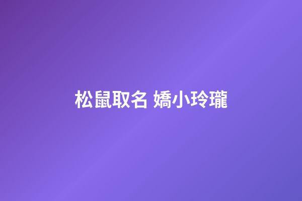 松鼠取名 嬌小玲瓏